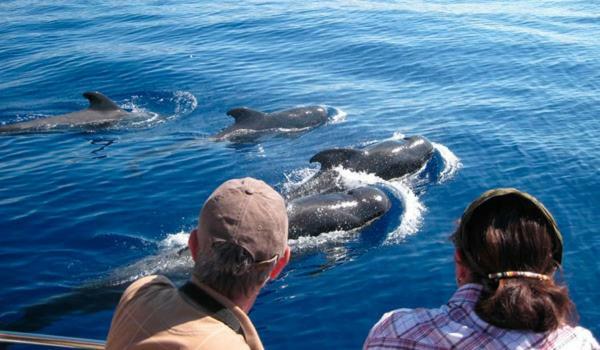 Ocean House & Perfect For You Costa Adeje  Zewnętrze zdjęcie